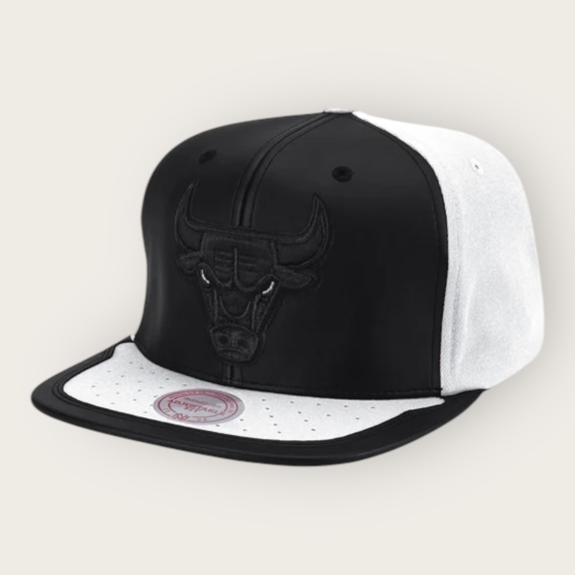 Cappello Chicago Bulls DAY ONE white