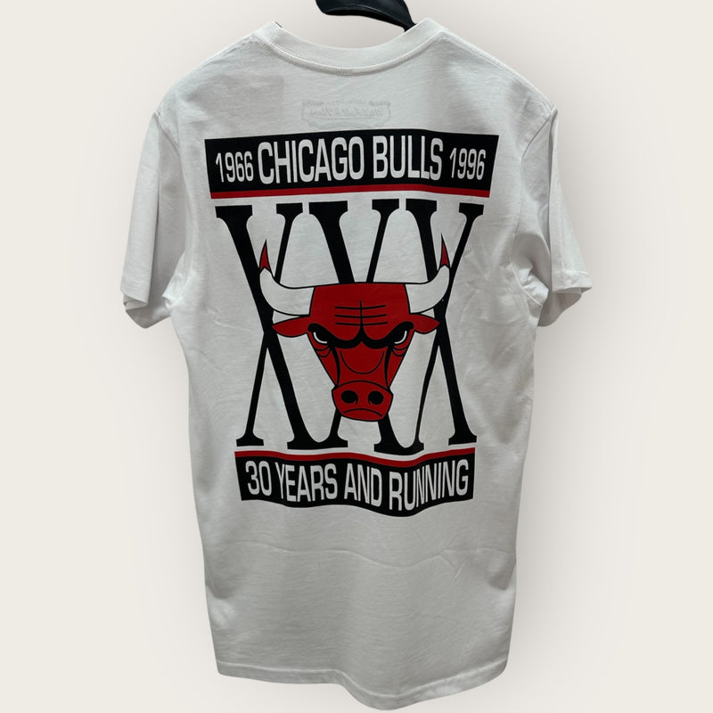 Completo Chicago Bulls CLOCK