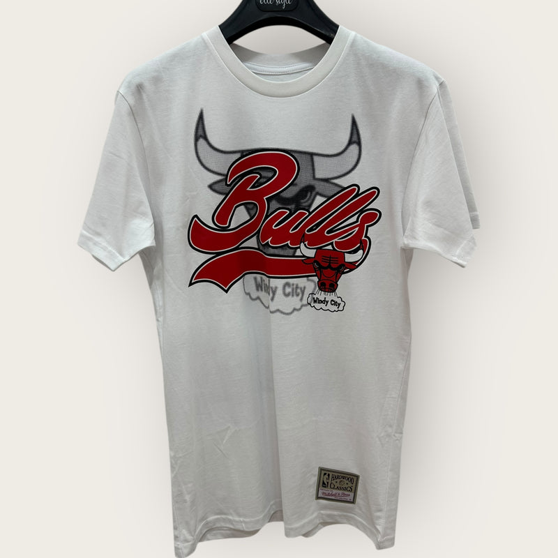 Completo Chicago Bulls CLOCK