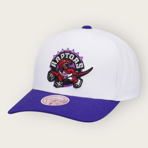 Cappello Toronto Raptors TWO TONE