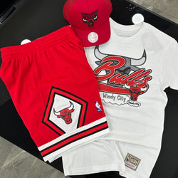 Completo Chicago Bulls CLOCK