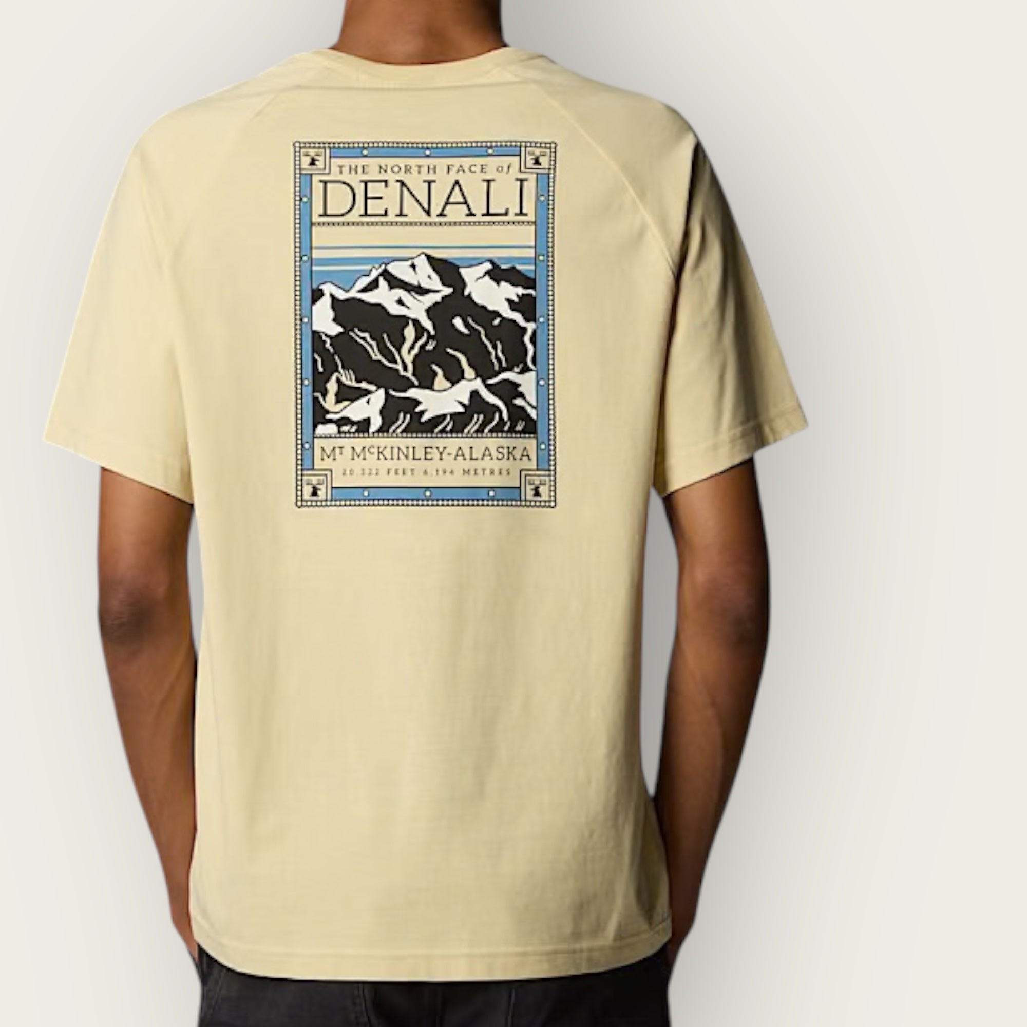 T-Shirt The North Face FACES safari